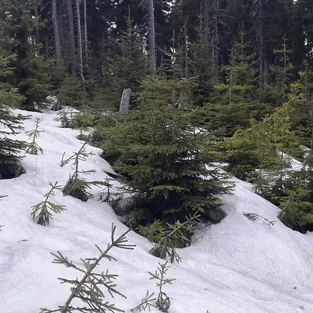 V Krkonoších V Blízkosti Pece Pod Sněžkou *