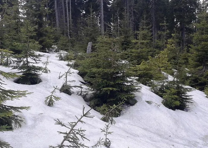 V Krkonosich V Blizkosti Pece Pod Snezkou *
